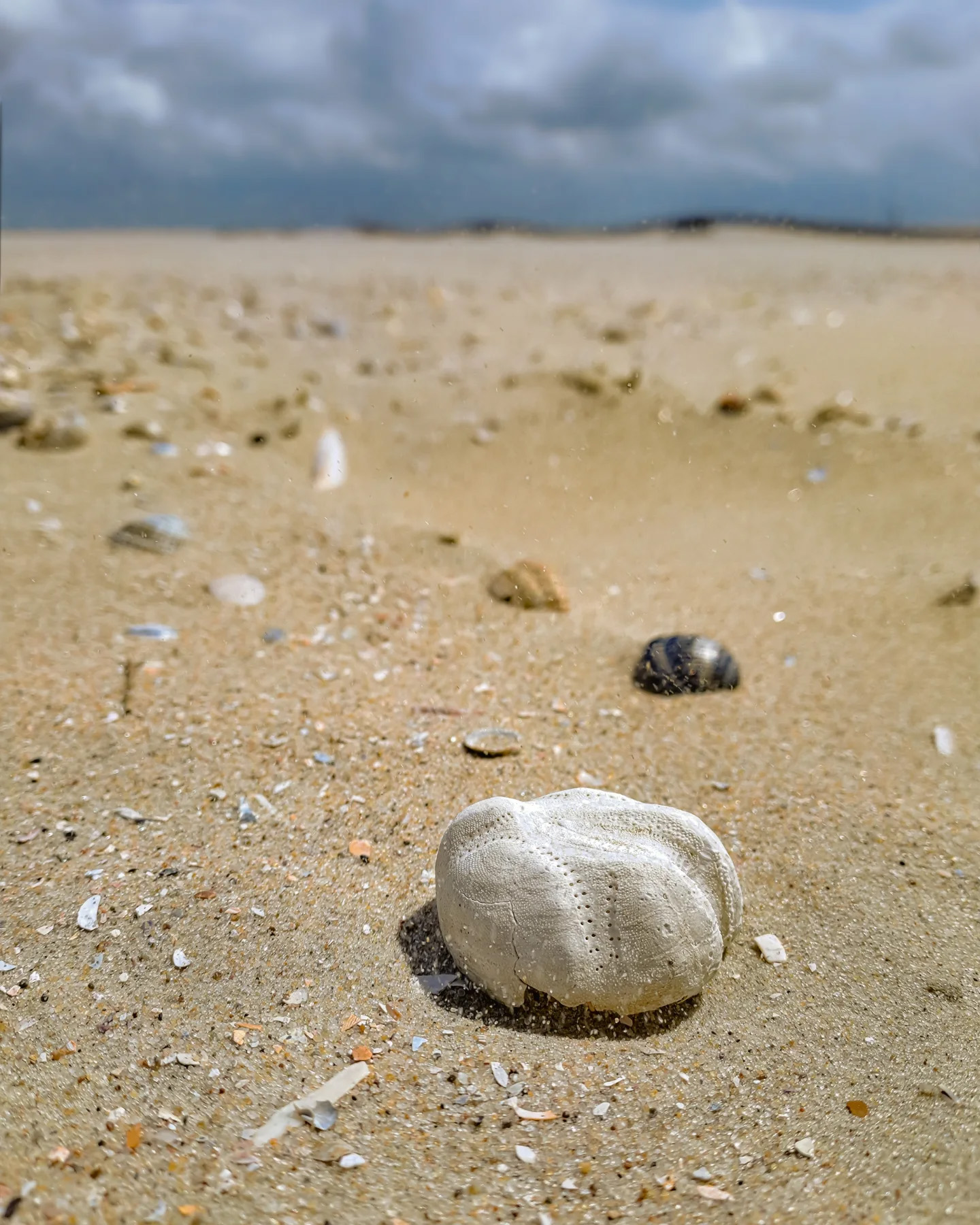 Picture in Strand von Baltrum