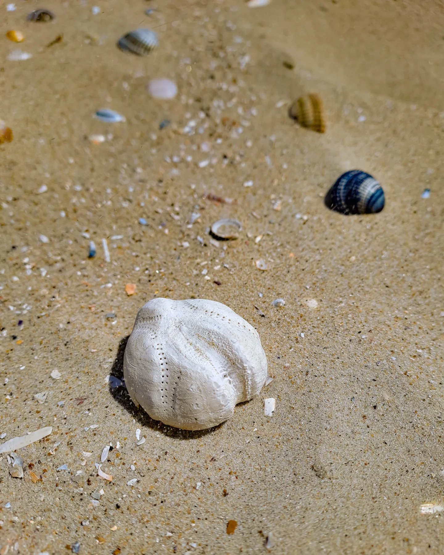 Picture in Strand von Baltrum