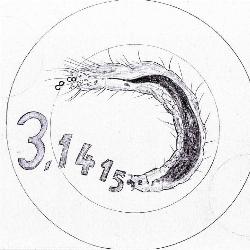 Infinity As Feces Of Knowledge or The Pi-eating Flea Larva