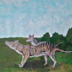 Tasmanian Tigers