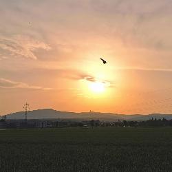 Schau dir diesen Beitrag Nr. 564 vom Samstag, 19. Juni 2021 um 3:19 Uhr an.
