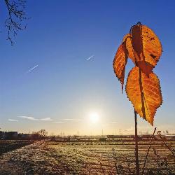 View this post #676 from Friday, 23rd December 2022 at 2:03 PM