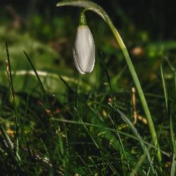 View this post #691 from Tuesday, 7th February 2023 at 2:29 PM