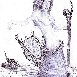 Chimaera mollusca