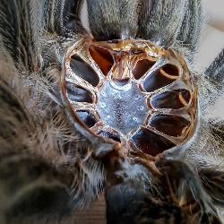 View this post #832 from Tuesday, 25th June 2024 at 12:46 PM