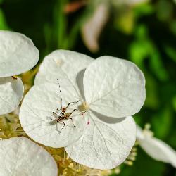 View this post #843 from Sunday, 14th July 2024 at 10:48 PM