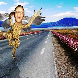 Fredociraptor