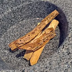 Sieh mehr von Bursera graveolens! Miniaturbild zeigt Bursera graveolens