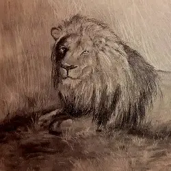 Sieh mehr von Panthera leo! Miniaturbild zeigt Panthera leo