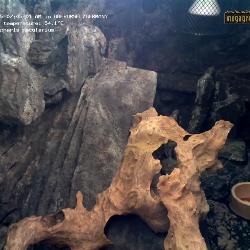 Record from 07.12.2025