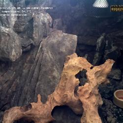 Record from 08.12.2025