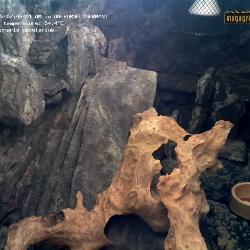 Record from 09.12.2025