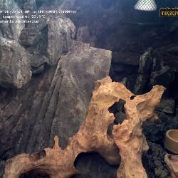 Record from 20.03.2026