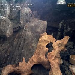 Record from 22.03.2026